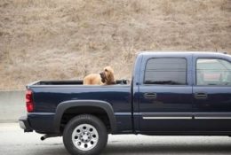 5 Top-Rated Truck Bed Covers to Choose From