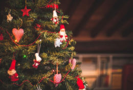 5 beautiful themes and decoration items for your Christmas tree
