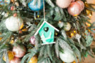5 tips to follow while buying a Christmas tree