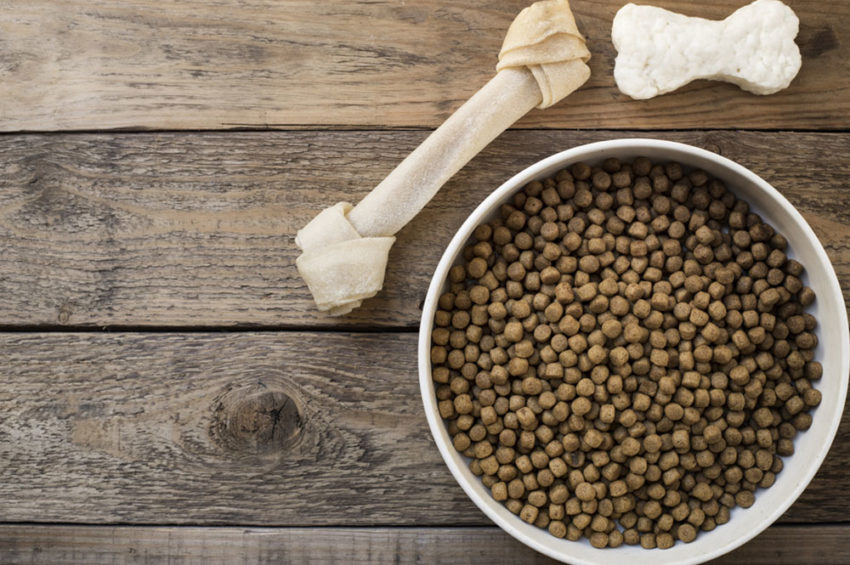7 popular dog food brands to choose from