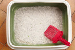 Benefits of using a self-cleaning litter box