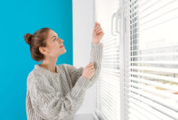 Buy the Choicest of Window Blinds Online