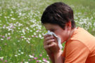 Five food items to fight pollen allergy