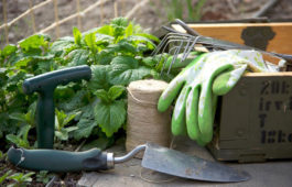 Garden Tools for Gorgeous Outdoors
