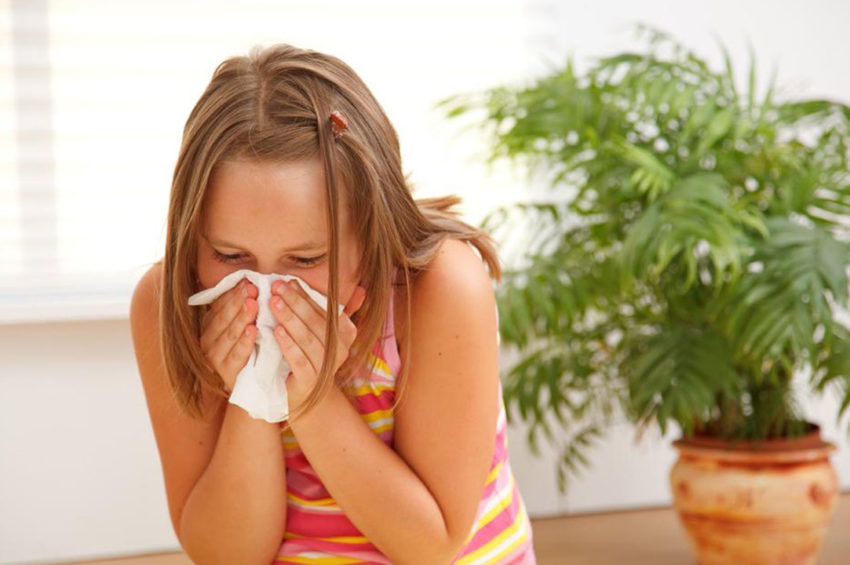 Tips to follow for treating symptoms of allergy