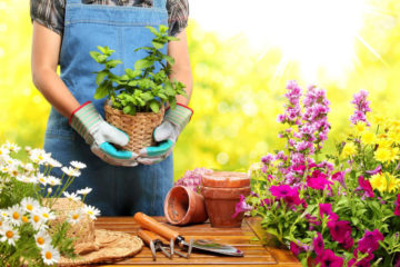 An overview of home-based gardening business