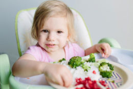 Lunch recipes that your toddlers will love
