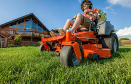 Top 5 lawn mowers to check out